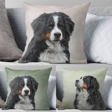 Pet Dog cojines sofá Cushion Cover Velvet Custom Pillow Cover For Living Room Sofa Decorative Pillows Home Decor Pillowcase 2024 - buy cheap