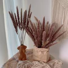 Phragmites communis para decoração, plantas naturais reais secas pequenas de grama, 15 peças, loja para casa, casamento 2024 - compre barato