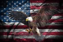 Jmine div 5d eagle bandeira americana completa diamante pintura ponto cruz kits arte alta qualidade animal pintura 3d por diamantes 2024 - compre barato