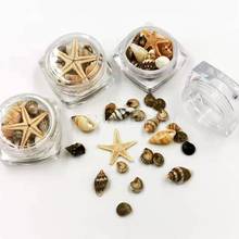 1 box Small Natural Beach Seashell Starfish Nautical Decor Nail Art Jewelry Making Random Delivery 2024 - buy cheap