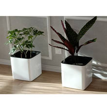 Self-watering White Plastic Pot Planter for Plants Orchid Flowers, with Water Level Indicator 2024 - buy cheap
