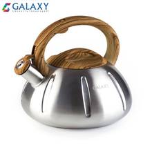 Kettle with whistle 3l Galaxy GL 9206 made of high quality stainless steel, ergonomic handle with push-button mechanism 2024 - buy cheap