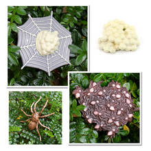 Simulation The Life Cycle of Spider Insect Growing 4 Stage Educational Play Set 2024 - buy cheap