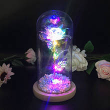 Lâmpadas led rosa luz de fadas beleza e a besta rosa vermelha em uma cúpula de vidro em uma base de madeira para presentes dos namorados natal luz
