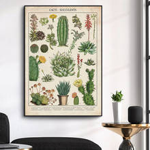 Pintura en lienzo escandinava para decoración de sala de estar, póster moderno de planta, flor, cactus, suculentas, impresión artística de pared, Cuadro 2024 - compra barato