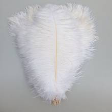 Wholesale 100Pcs/Lot Natural White Ostrich Feathers for Decoration 15-75CM Party Wedding Decorations Jewelry Plume feather decor 2024 - buy cheap