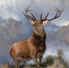 Edwin Henry Landseer The Monarch of the Glen Art Film Print Silk Poster Home Wall Decor 24x36inch 2024 - buy cheap