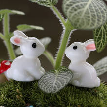 2 uds. De plantas de resina bonitas de conejo, Micro paisaje, ornamentos de suculentos, decoración de plantas, miniaturas de jardín, DIY para muñecas 2024 - compra barato