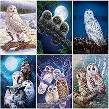 DIY Owl Animal 5D Diamond Painting Full Round/Square Rhinestone Mosaic Diamante Embroidery Cross Stitch Wall Art Home Gift 2024 - buy cheap