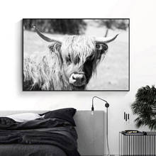 Lienzo de pared de vaca de las tierras altas, pintura nórdica, póster e impresión en blanco y negro, imagen de pared escandinava para sala de estar 2024 - compra barato