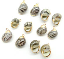 Pingente concha de concha do mar, joia com gema de cristal de quartzo para fazer jóias colar brincos acessórios 6 peças a1 2024 - compre barato