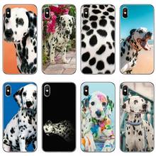 Мягкий силиконовый чехол для телефона Dog Dalmatian для iPhone 11 Pro XS Max XR X 8 7 6 6S Plus 5 5S SE 4S 4 iPod Touch 5 6 2024 - купить недорого