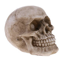 Esqueleto realista de Halloween, Calavera, cabeza de esqueleto, 1:1 2024 - compra barato