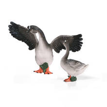 Poultry Animal Simulation Models Goose 2pcs Farmland animal PVC Action Figures Decoration Doll For kids figurines toys 2024 - buy cheap