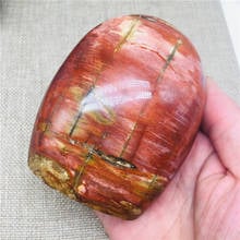380g-500g natural cristal de madeira fóssil pedra crua espécime cor mineral cristal coleção ensino 2024 - compre barato