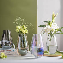 Скандинавская стеклянная ваза, прозрачная многоцветная бутылка для цветов, настольный гидропонный контейнер, аксессуары для украшения дома 2024 - купить недорого