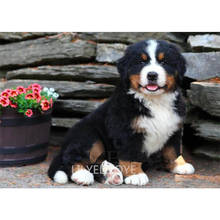 5D Needlework DIY Diamante Pintura Ponto Cruz Cão Bernese Mountain Dog Bordado Cheio de Diamantes Diamante Mosaic Padrão TY261 2024 - compre barato