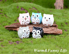 5pcs/set Cute Little Owl Animal Model Figurine Home Ornament Glass Decor Miniature Craft Garden Fairy Decoration DIY Accessories 2024 - buy cheap
