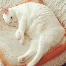 40x40 см тостов кошка подушка Товары для домашних собак кровать коврики мягкие плюшевые подушки сиденья подарки 2024 - купить недорого