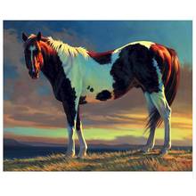 Pintura por números de caballos sobre lienzo, pintura acrílica de animales enmarcada para adultos, kits de bricolaje, dibujo para colorear por números, decoración 2024 - compra barato