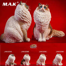 JXK JXK029 1/6 gato de pelo largo Ragdoll mascota Animal figura estatua de resina modelo de juguete para 12 ''figura de acción 2024 - compra barato