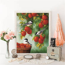 HUACAN Cross Stitch Bird Animal Needlework Sets For Full Embroidery Fruit Scenery Kits White Canvas 14CT DIY Home Decor 40x50cm 2024 - buy cheap