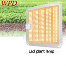 WPD-luces LED para crecimiento de plantas, tablero cuántico, 400W, resistente al agua, IP66, espectro completo, para invernadero suculento 2024 - compra barato