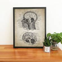 Impresiones artísticas Vintage de cabeza humana y anatomía del cerebro, póster de médicos, decoración de arte de pared de oficina, pintura de Anatomía Humana de neurociencia 2024 - compra barato