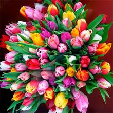 JMINE Div 5D тюльпаны Красочные цветы полная Алмазная краска ing крестиком наборы художественная Высококачественная Цветочная 3D краска бриллиантами 2024 - купить недорого
