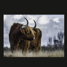 Abstract  Highland Cow Cattle Wild Animal Canvas Art Painting Nordic Posters and Prints Cuadros Wall Art Picture for Living Room 2024 - buy cheap