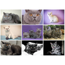 Yumeart British Shorthair Cats Diamond Painting Pets Diamond Embroidery Cross Stitch Animal Diamond Painting Mosaic DIY Crafts 2024 - buy cheap