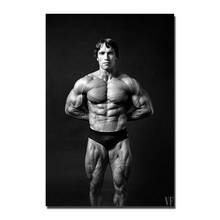 Arnold Schwarzenegger Olympia-Póster de seda para culturismo, Adhesivo de pared, decoración, regalo 2024 - compra barato