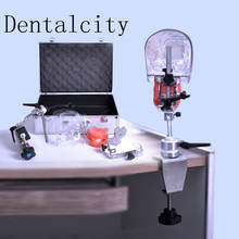 Nova cabeça fantasma dental com typodon/cabeça fantasma dental com dentes de substituição m1005 2024 - compre barato