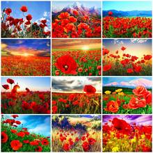 AZQSD Diamond Painting Poppy Flower Full Square Diamond Embroidery Sunset Landscape Cross Stitch Rhinestone Home Decoration 2024 - buy cheap