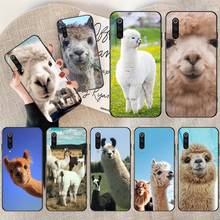 Чехол для телефона Lama Llama Alpacas Animal для Xiaomi Mi Note 10 Lite Mi 9T Pro xiaomi 10 10 CC9 Pro 9SE 2024 - купить недорого