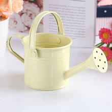 Tin Watering Can Plant Spray Sprinkled Portable Gardening Tools Wrought Iron With Handle Metal Shower 2024 - buy cheap