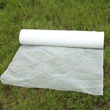 Wholesale 100m/Roll Thickening  Pest Control Net Farm Greenhouse Protection Care Cover Garden Netting Pest Netting 2024 - buy cheap