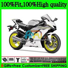 OEM injeção Para YAMAHA YZF YZF600 prata Branco R6 YZFR6 17 18 19 118BS.4 6 YZF-600 YZF-R6 2017 2018 2019 Carenagens YZF 600 R 2024 - compre barato