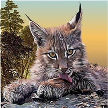 DIY diamond embroidered animal lynx painting  5D diamond painting cross stitch square rhinestone mosaic home decorat 2024 - buy cheap