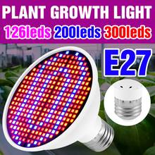 Gu10 led 220v planta luz e14 crescer lâmpada led e27 fitoamp mr16 phyto lâmpada 48 60 80 126 200leds espectro completo interior para crescer caixa 2024 - compre barato