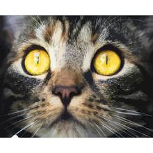GATYZTORY-Marco de ojos de gato para pintar por números, lienzo de animales, Kits pintados a mano, decoración de pared, 60 × 75cm, regalo 2024 - compra barato