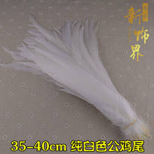 Natural White Cock Tail Feathers Diy Clothing Decoration Stage Performance Rooster Feather Plume Stage Prop 10pc/lot 2024 - buy cheap