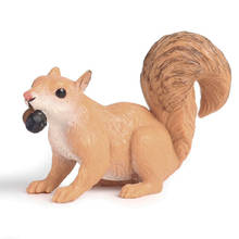 Small Size Squirrel Animal Figure Collectible Toys Wild Animal Cognition Action Figures Kids Plastic Model Ornament Toys 2024 - buy cheap