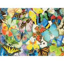 Diy 5d diamante bordado borboleta pintura diamante kits de ponto cruz animal broca quadrado completo resina mosaico decoração para casa 2024 - compre barato