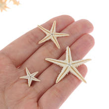 100pcs Sea Shells Size:0.5-3cm Mini Starfish Craft Decoration Cottage Wedding Decor Crafts Natural  DIY Beach Mascot 2024 - buy cheap