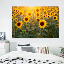 Coreano pôr do sol pintura da lona arte da parede girassol campo fotos flor paisagem cartazes e cópias para sala de estar decoração casa 2024 - compre barato