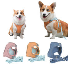 Conjunto de arnés y correa para perro, chaleco ajustable para mascotas, Collar reflectante para gatos y perros pequeños y medianos, Chihuahua y Pug 2024 - compra barato