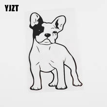 Yjzt 10.4cmx15.7cm dos desenhos animados francês touro cão animal de estimação decalque vinil etiqueta do carro preto/prata 8a-0018 2024 - compre barato