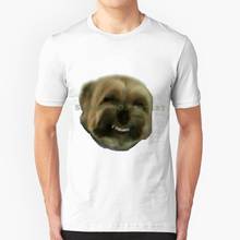 Meu cão gay verão engraçado t camisa para homem mulher todos os dias ing cada único dia quando eu chegar em casa este pequeno viado apenas 2024 - compre barato