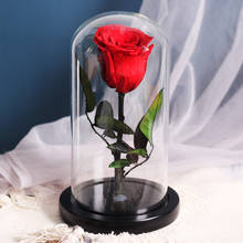 Flores secas preservadas La Bella y La Bestia, Rosa eterna Real en cubierta de vidrio, adornos de decoración del hogar, regalo de boda y Día de San Valentín 2024 - compra barato